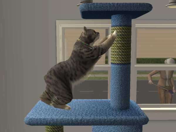 Mod The Sims Member Elleeden
