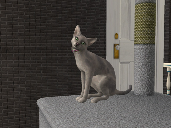Mod The Sims Member Elleeden
