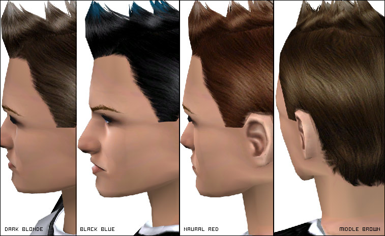 http://thumbs2.modthesims.info/img/1/6/0/3/4/2/8/MTS2_-Shady-_771194_shady_modern-iroquese-color.jpg