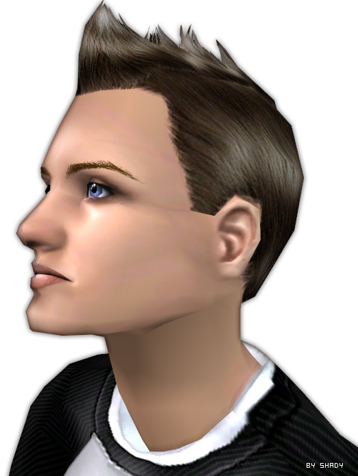 http://thumbs2.modthesims.info/img/1/6/0/3/4/2/8/MTS2_-Shady-_771195_shady_modern-iroquese-detail2.jpg