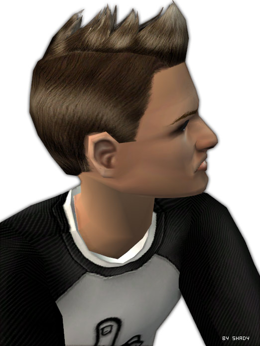 http://thumbs2.modthesims.info/img/1/6/0/3/4/2/8/MTS2_-Shady-_771196_shady_modern-iroquese-detail.jpg