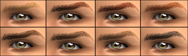 http://thumbs2.modthesims.info/img/1/6/0/3/4/2/8/MTS2_-Shady-_886849_shady_everyday-brows-for-men-colors.jpg