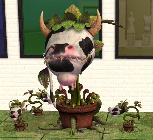 Sims Cow Plant