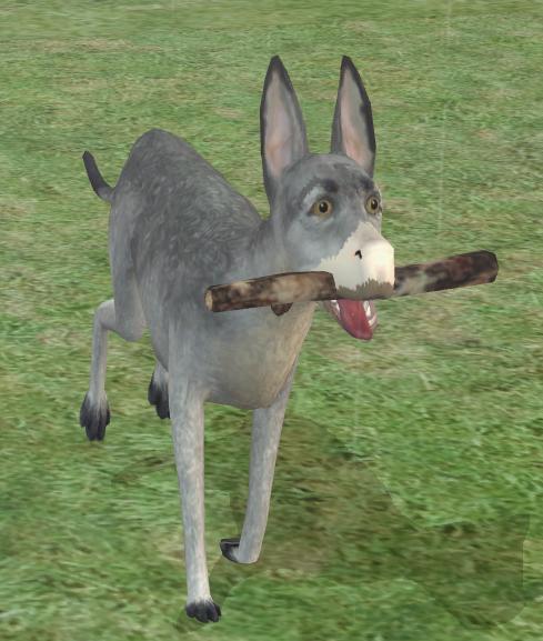 A Donkey