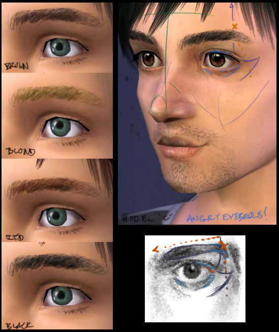 Shaped Brows