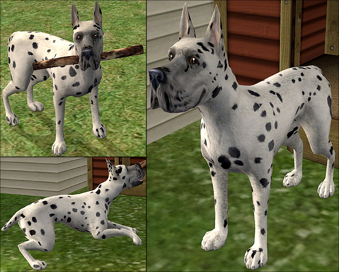 Mod The Sims - Pets: Great Danes Collection *Update 07/10 Mod The Sims - Pets: Great Danes Collection *Update 07/10