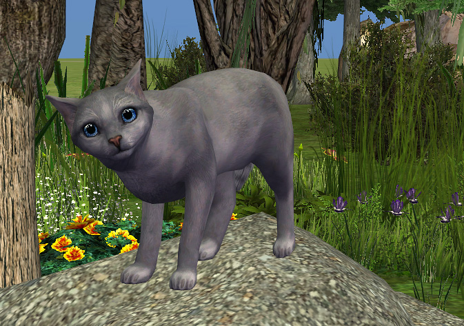 Mod The Sims Warriors Bluestar
