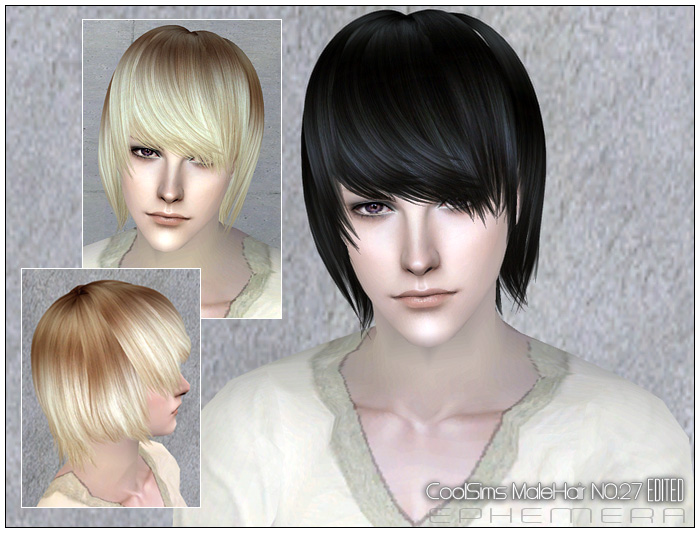 (Downloads -> Hairstyles -> Hair 27) Peggy Free male hair NO.090601