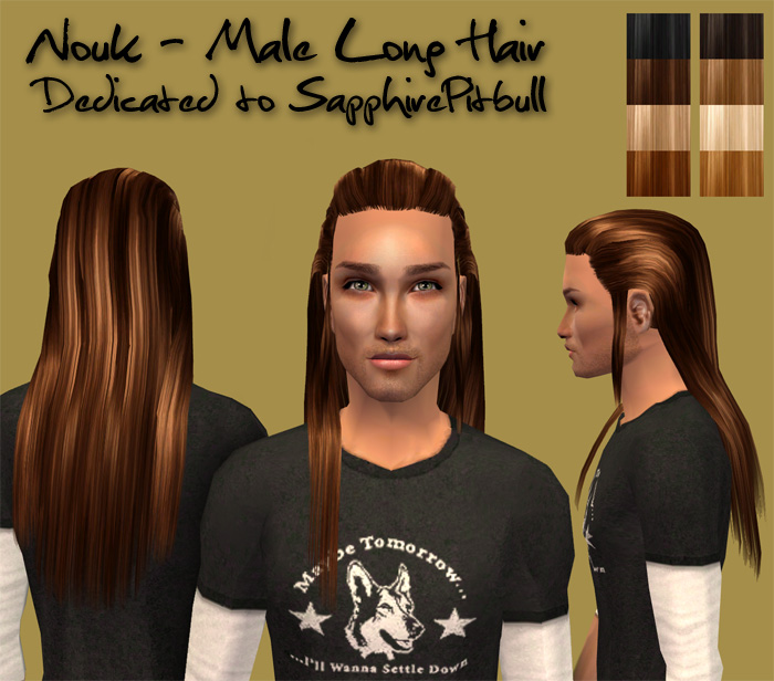 http://thumbs2.modthesims.info/img/2/3/1/8/2/MTS2_Nouk_609883_MaleLongHair_preview1.jpg