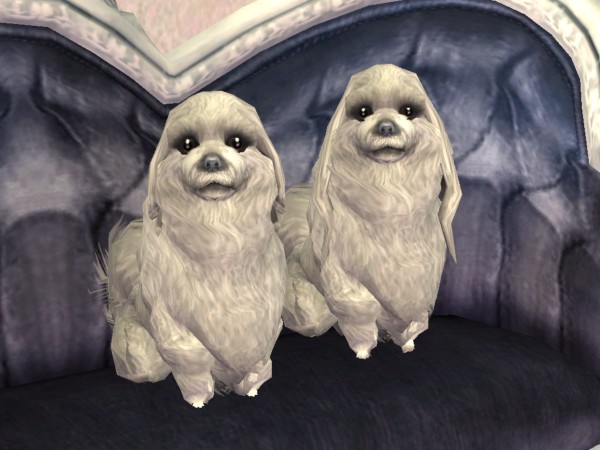 Mod The Sims - Maltese with long hairstyle x 2 
