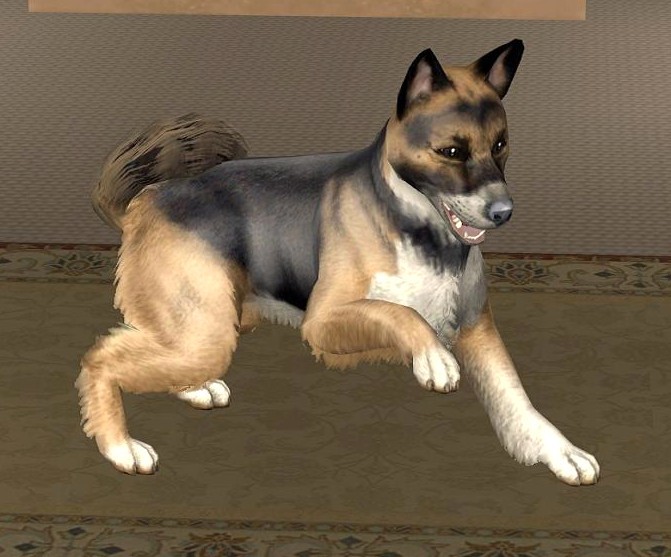 Neueste Diskussionen The Sims German