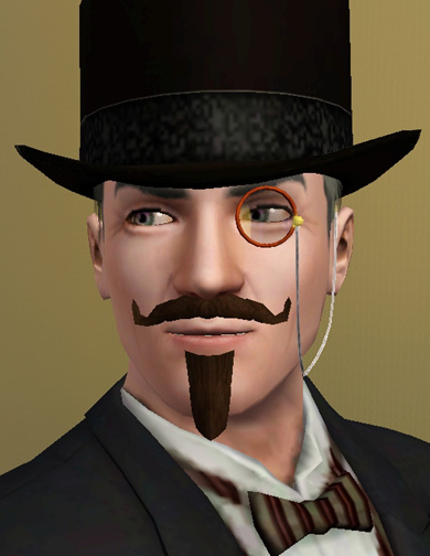 http://thumbs2.modthesims.info/img/3/1/6/9/9/6/3/MTS2_EsmeraldaF_1045894_Charlatan_beard_in-game.jpg