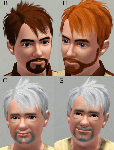 http://thumbs2.modthesims.info/img/3/3/8/2/2/MTS2_necrodog_1041554_beard-ingame_copy.gif