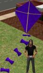 Click image for larger version Name: kite_indigo.jpg Size: 126.4 KB Click image for larger version Name: kite_indigo.jpg Size: 126.4 KB