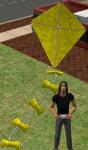 Click image for larger version Name: kite_yellow.jpg Size: 127.6 KB Click image for larger version Name: kite_yellow.jpg Size: 127.6 KB