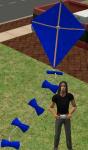 Click image for larger version Name: kite_blue.jpg Size: 127.2 KB Click image for larger version Name: kite_blue.jpg Size: 127.2 KB