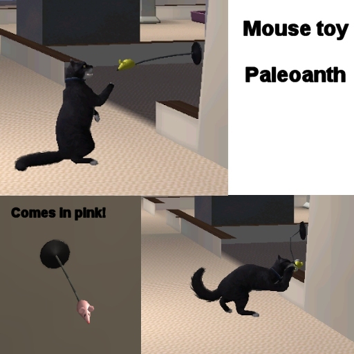 http://thumbs2.modthesims.info/img/5/6/7/6/3/9/MTS2_Paleoanth_395684_Mousetoy.jpg