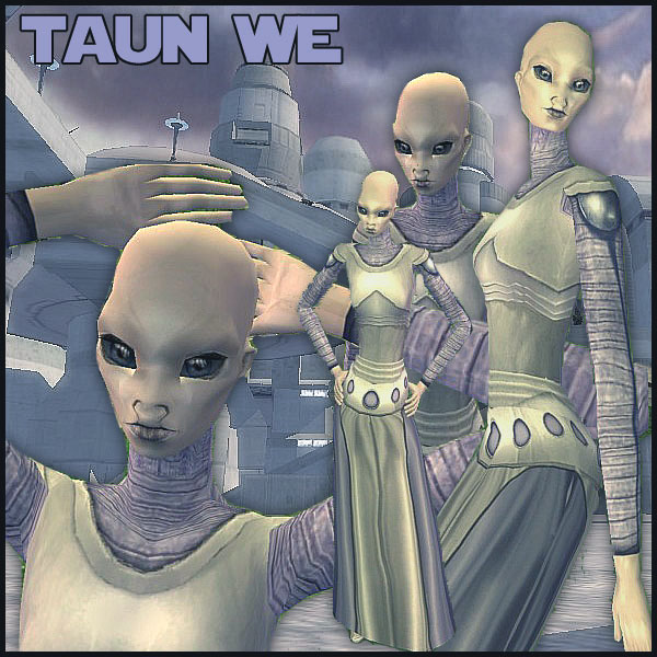 taun we