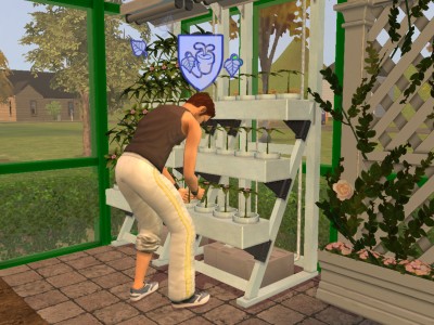 The Sims 2 No Disk Patch