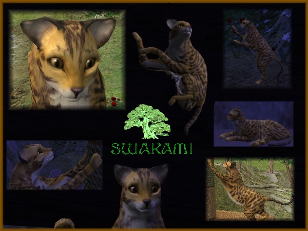 http://thumbs2.modthesims.info/img/8/0/8/3/8/9/MTS2_Swakami_437202_Ozelot_by_Swakami.jpg