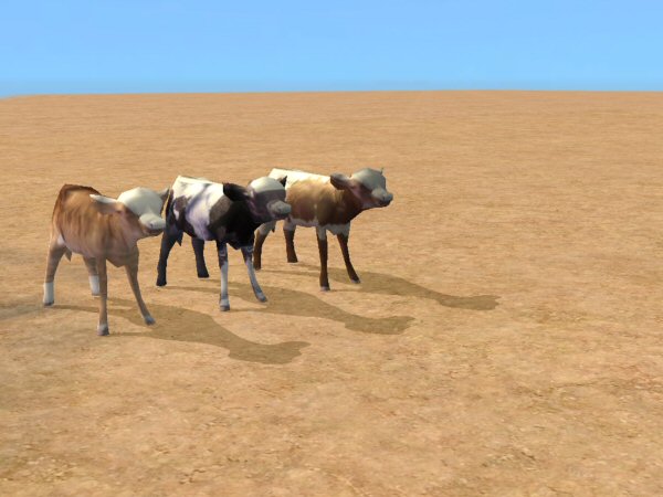 The Echo Sounds You Must Be Joking Bull Moose The Echo Sounds You Must Be Joking Bull Moose