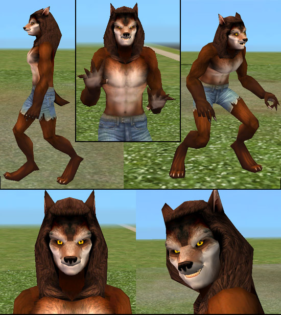 Die Sims 2 Werwolf Werden