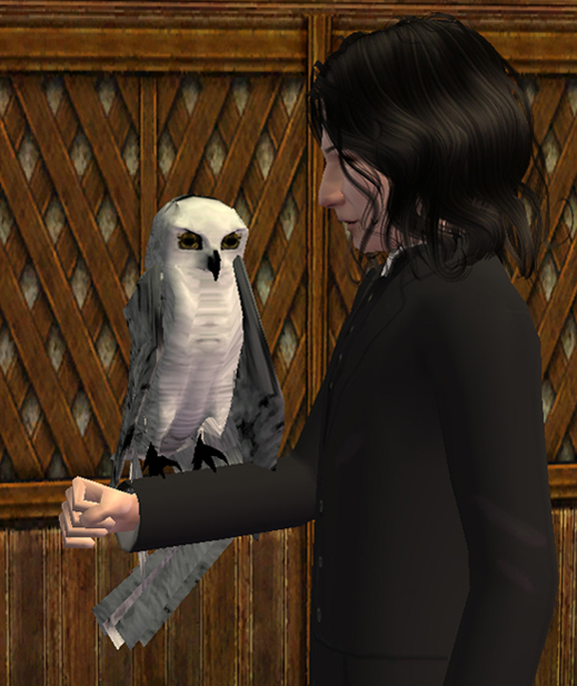 http://thumbs2.modthesims.info/img/1/2/2/4/5/7/MTS_Nekonyami-1216806-SnowyOwlArm.jpg