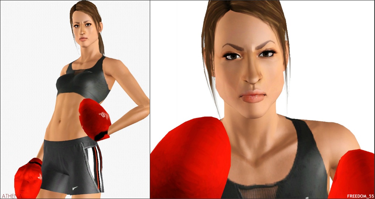 The sims 4 boxing mod