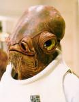 http://thumbs2.modthesims.info/img/3/1/6/4/0/0/MTS2_thumb_Matsu_Mike_526211_Ackbar_CloseUp.jpg