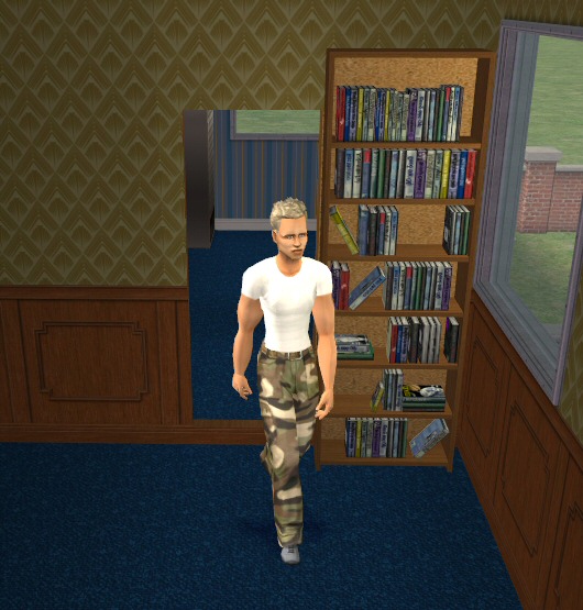 sims 3 hidden bookcase door