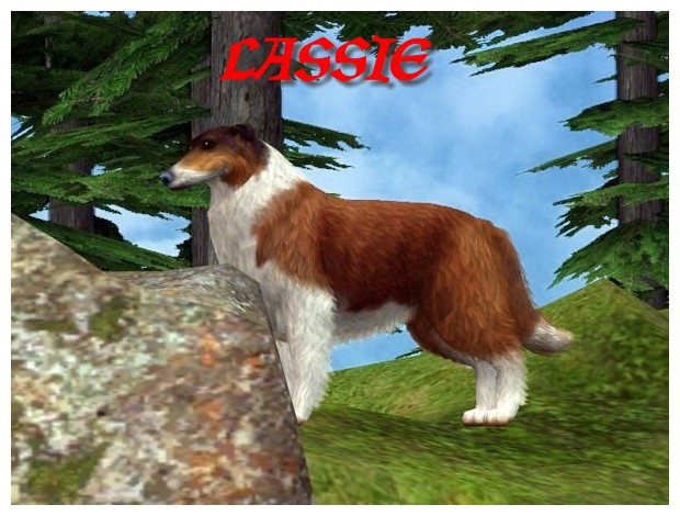 http://thumbs2.modthesims.info/img/4/7/9/3/1/2/8/MTS2_calinours_1186699_Spirit_of_Lassie.jpg