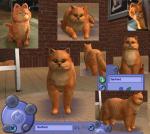 http://thumbs2.modthesims.info/img/5/9/0/7/1/6/MTS2_thumb_Hostel_395754_garfield1.jpg