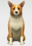 http://thumbs2.modthesims.info/img/6/0/1/8/MTS_thumb_GloamingMerle-1297181-CorgiFrontEA.jpg