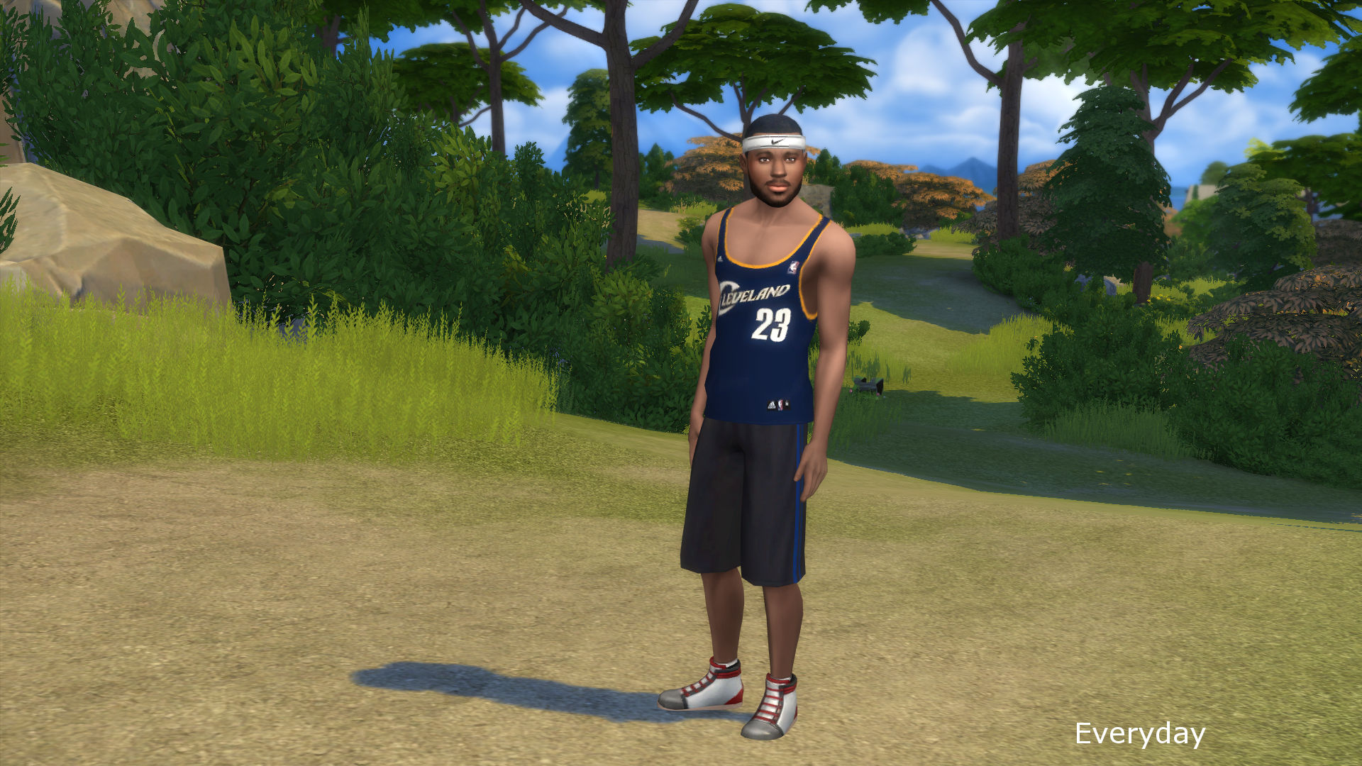 Mod The Sims Lebron James