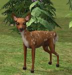 http://thumbs2.modthesims.info/img/6/9/0/9/7/MTS2_thumb_bubbleeye_419767_fawn1.jpg