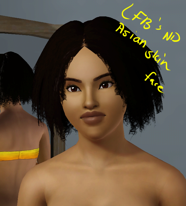 sims 3 non default skin how to use sims 3 non default skin how to use