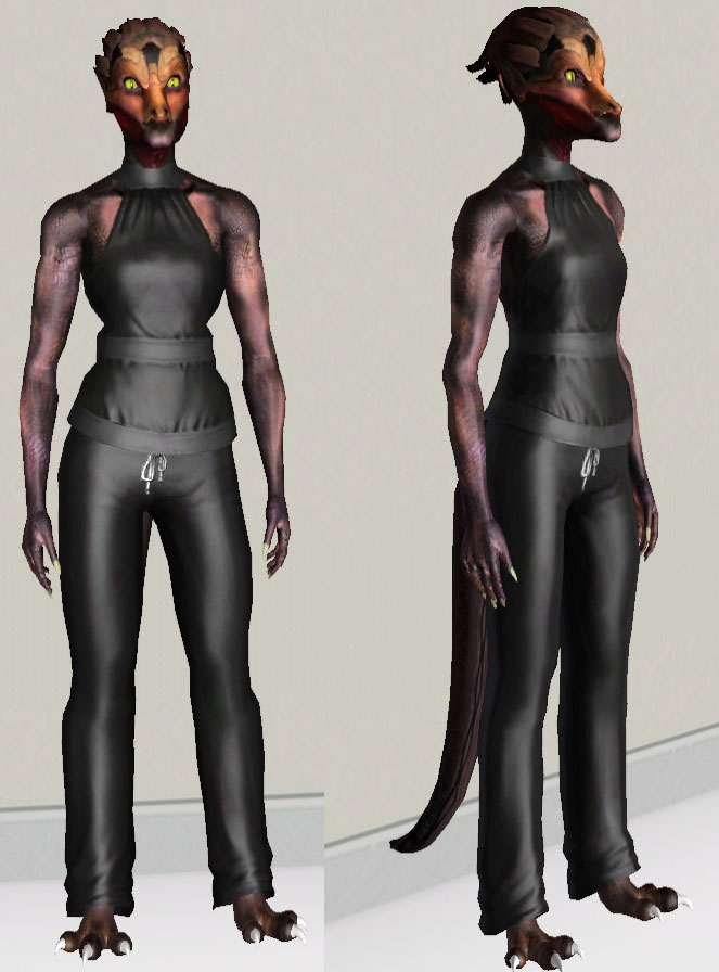 more player models skinning guide more player models skinning guide
