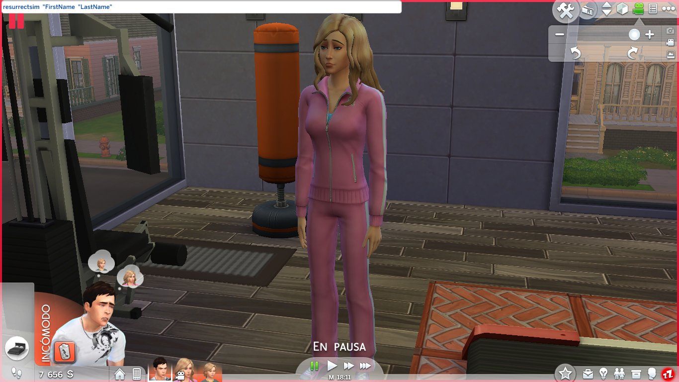 Sims 4 Death Cheats - MiCat Game
