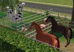 http://thumbs2.modthesims.info/img/9/4/4/2/6/MTS2_thumb_mickyss_84088_Animals2_HQ.jpg