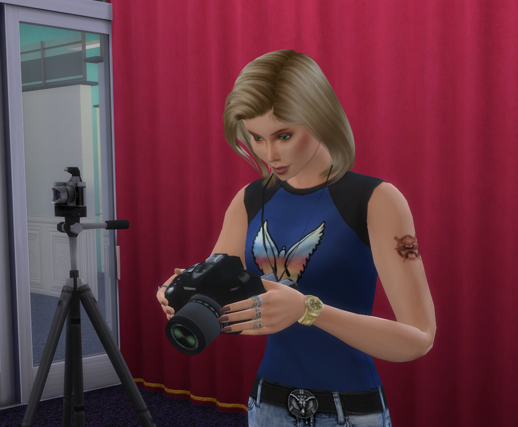 the sims 4 cheats carreira de fotógrafo